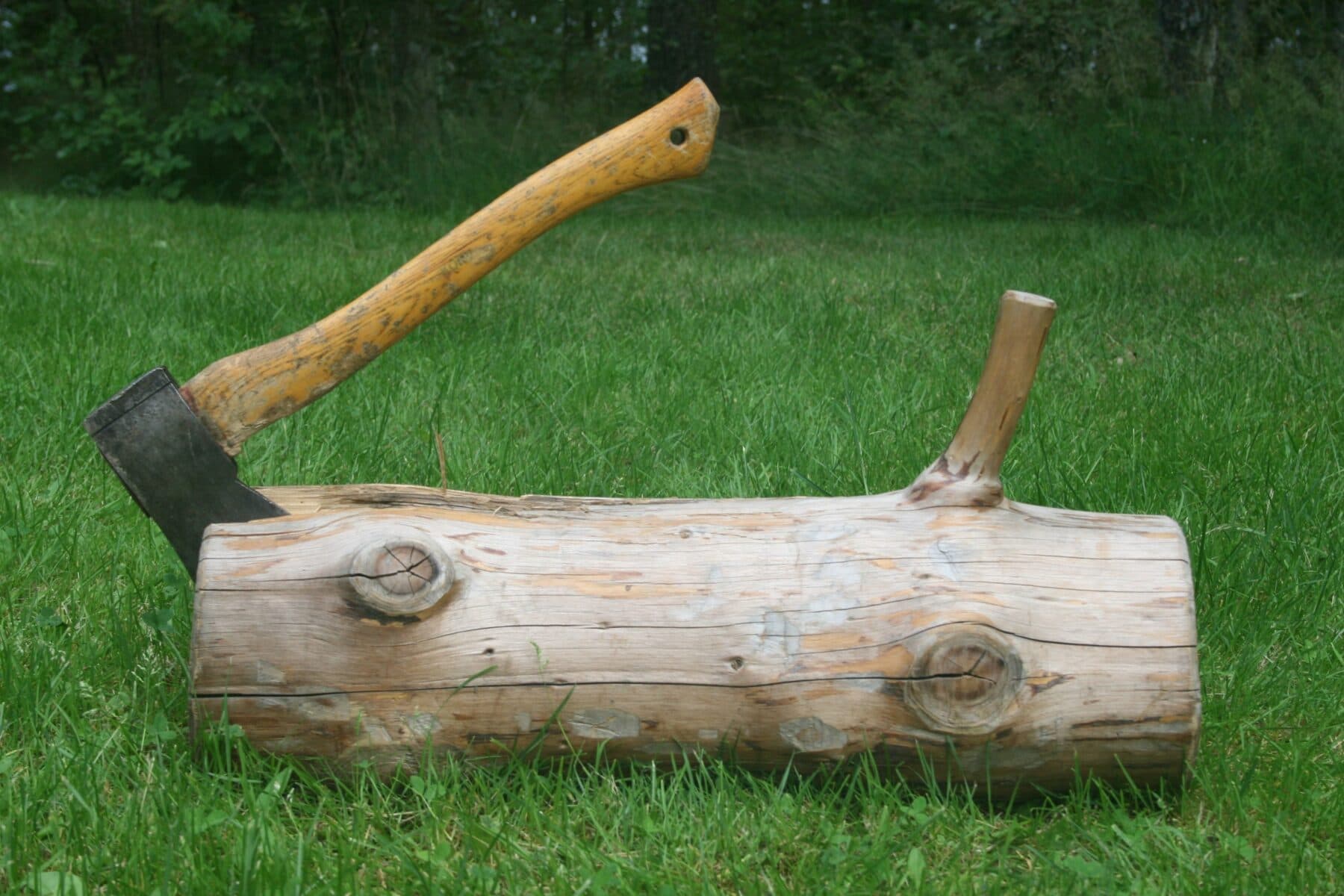 Trästock med en yxa i.